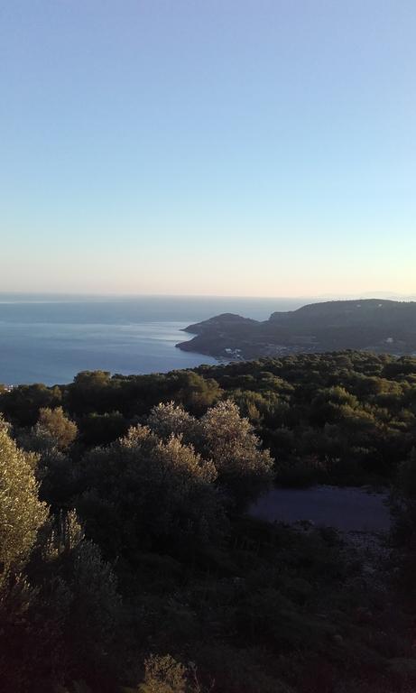 Отель Barbara II Agia Marina  Экстерьер фото